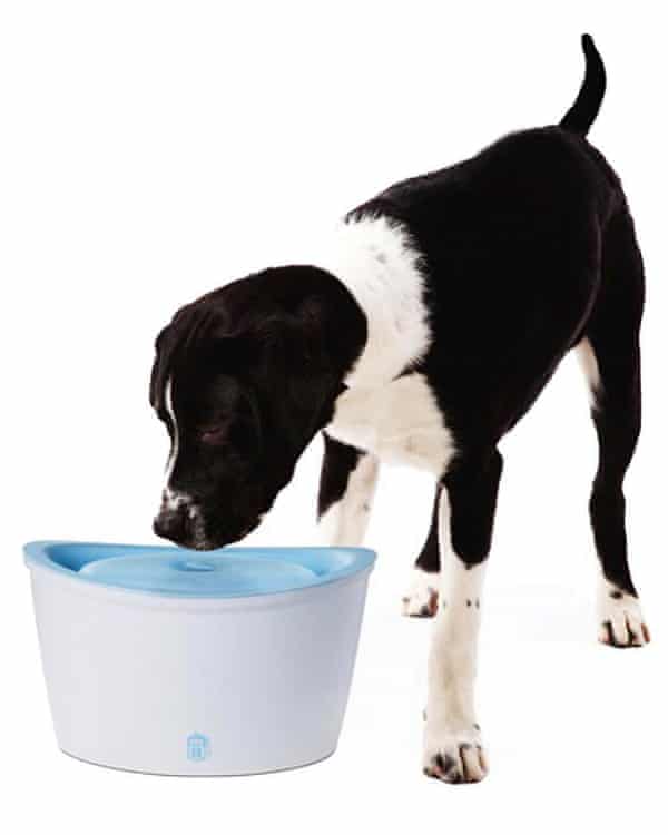 Dogit Fresh & Clear Drinking Fountain