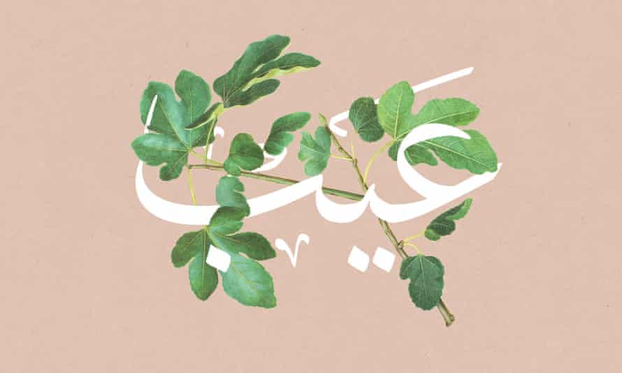 The Eib programme logo