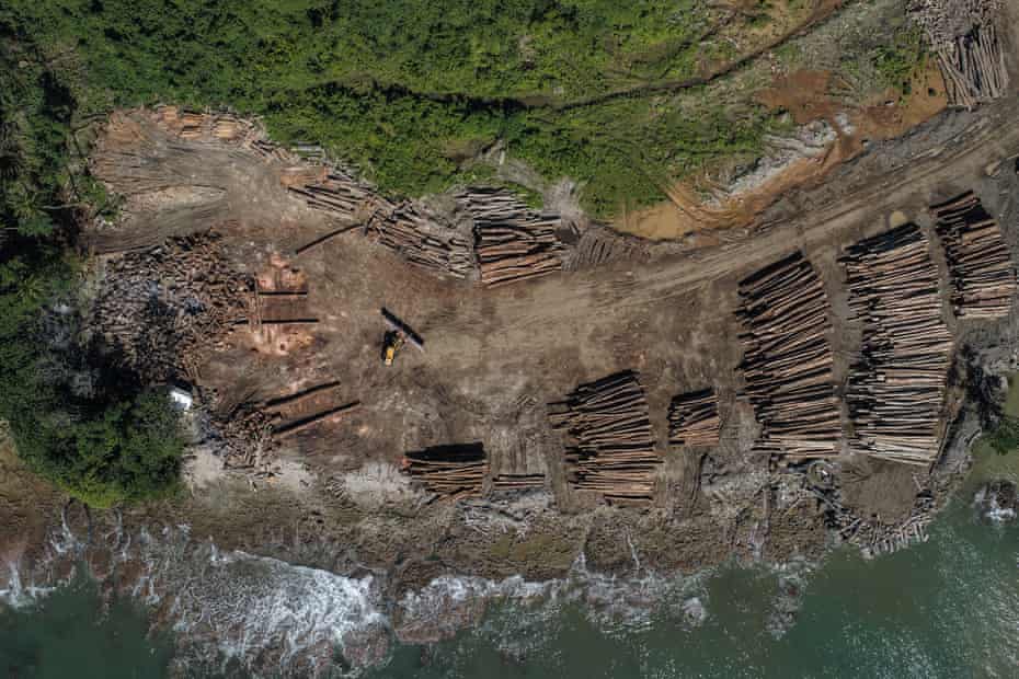 China regularly claims more than 90% of the total tonnes of wood exported by Papua New Guinea and Solomon Islands.