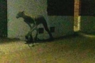 unexplained mysteries and paranormal events photo 34