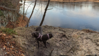 Panoramic photos gone wrong image 23