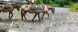 Panoramic photos gone wrong image 62