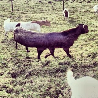 Panoramic photos gone wrong image 65