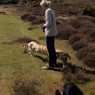 Panoramic photos gone wrong image 66