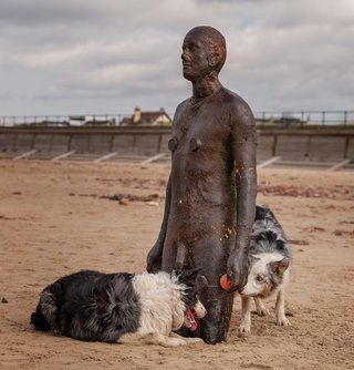 Are your pets as funny as the ones in the Comedy Pet Photo Awards 2021? photo 3